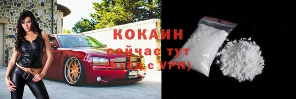 гидра Бородино
