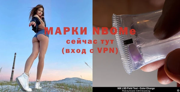 стаф Бугульма