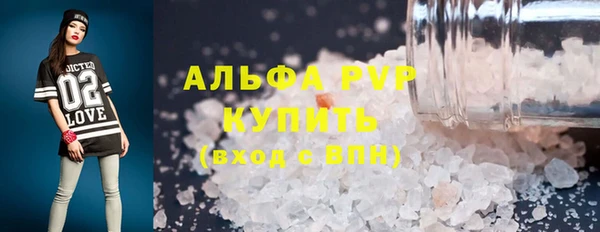 гидра Бородино