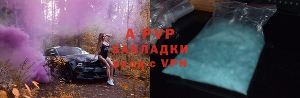гидра Бородино
