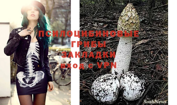 стаф Бугульма
