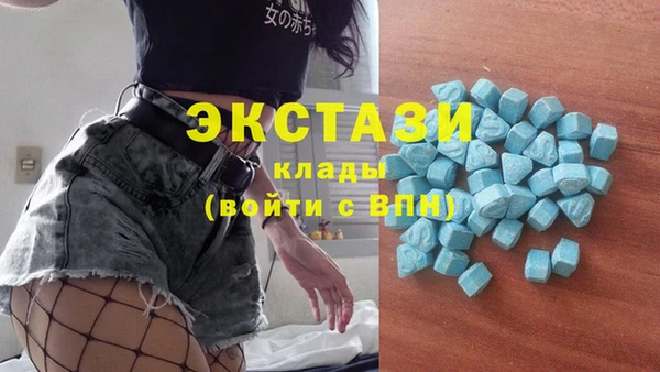 гидра Бородино