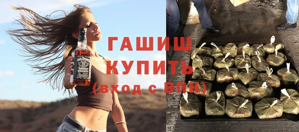 гидра Бородино