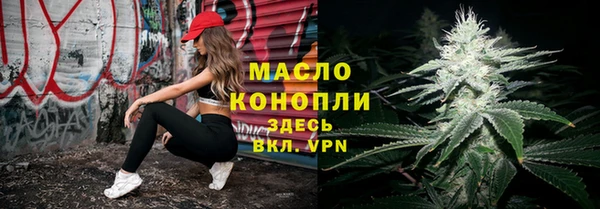 гидра Бородино