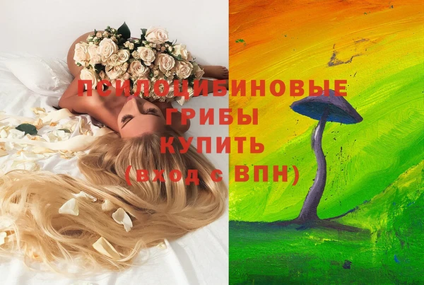 стаф Бугульма