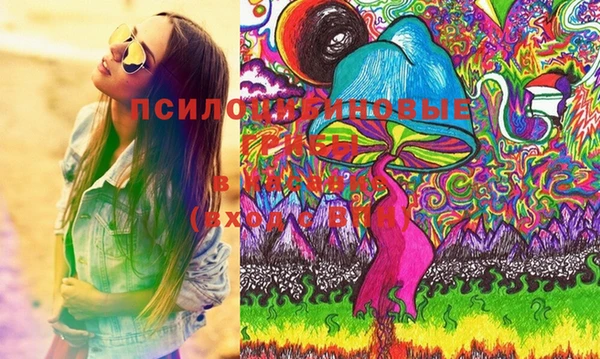 стаф Бугульма