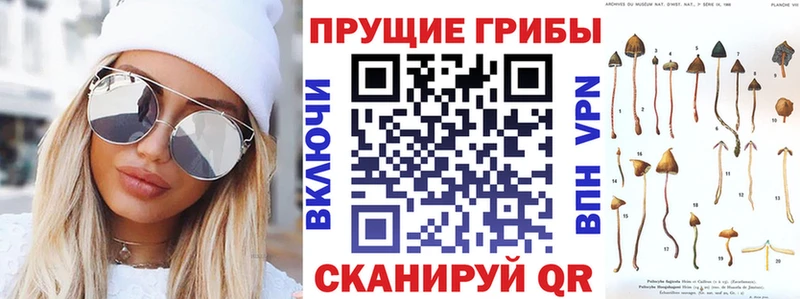 Псилоцибиновые грибы прущие грибы Смоленск